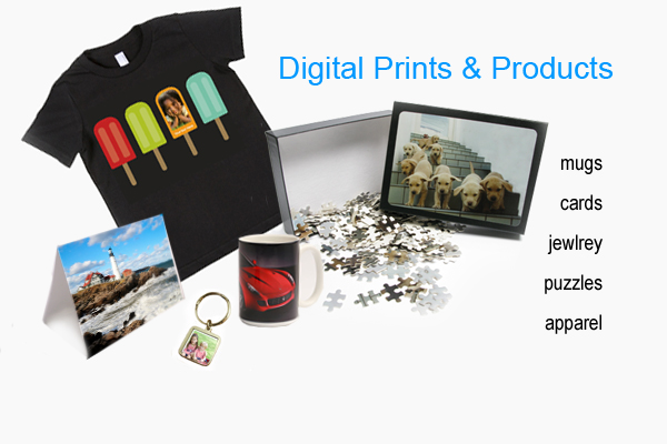 Put your work on a mug, tee, or a folded card, or just create a photo gift using one of  the fun available templates!