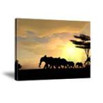 Printing on Canvas and Professional Photo Papers 